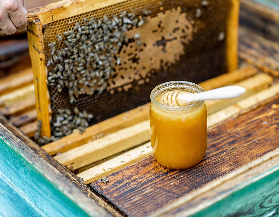 Beekeeping and honey production - Argus HD client project